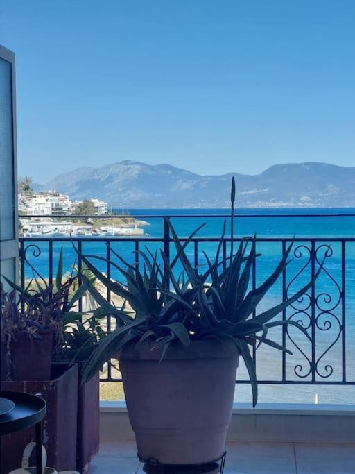 Bright Central Apartment With Splendid Sea View! Chalkís المظهر الخارجي الصورة